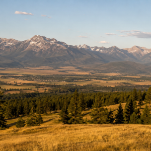 Golden grassland hillside overlooking the Rocky Mountain Trench valley with snow-capped peaks near Cranbrook, BC