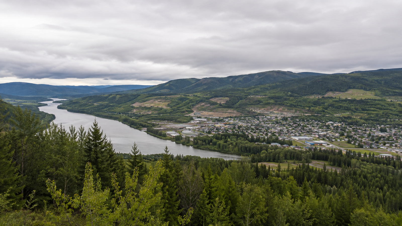 Elevated view over pine forest looking down on the Fraser River winding through the town of Quesnel, BC, under an overcast sky